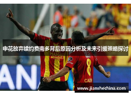 申花放弃续约费南多背后原因分析及未来引援策略探讨